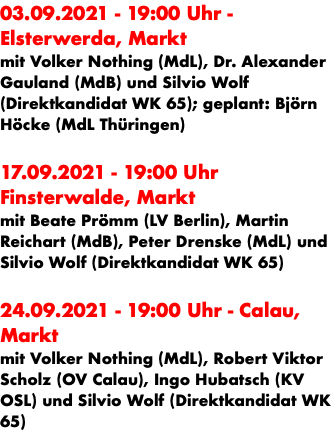 03.09.2021 - 19:00 Uhr - Elsterwerda, Markt mit Volker Nothing (MdL), Dr. Alexander Gauland (MdB) und Silvio Wolf (Direktkandidat WK 65); geplant: Björn Höcke (MdL Thüringen) 17.09.2021 - 19:00 Uhr Finsterwalde, Markt mit Beate Prömm (LV Berlin), Martin Reichart (MdB), Peter Drenske (MdL) und Silvio Wolf (Direktkandidat WK 65) 24.09.2021 - 19:00 Uhr - Calau, Markt mit Volker Nothing (MdL), Robert Viktor Scholz (OV Calau), Ingo Hubatsch (KV OSL) und Silvio Wolf (Direktkandidat WK 65)